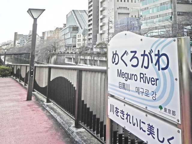 目黒川桜並木（中目黒エリア）