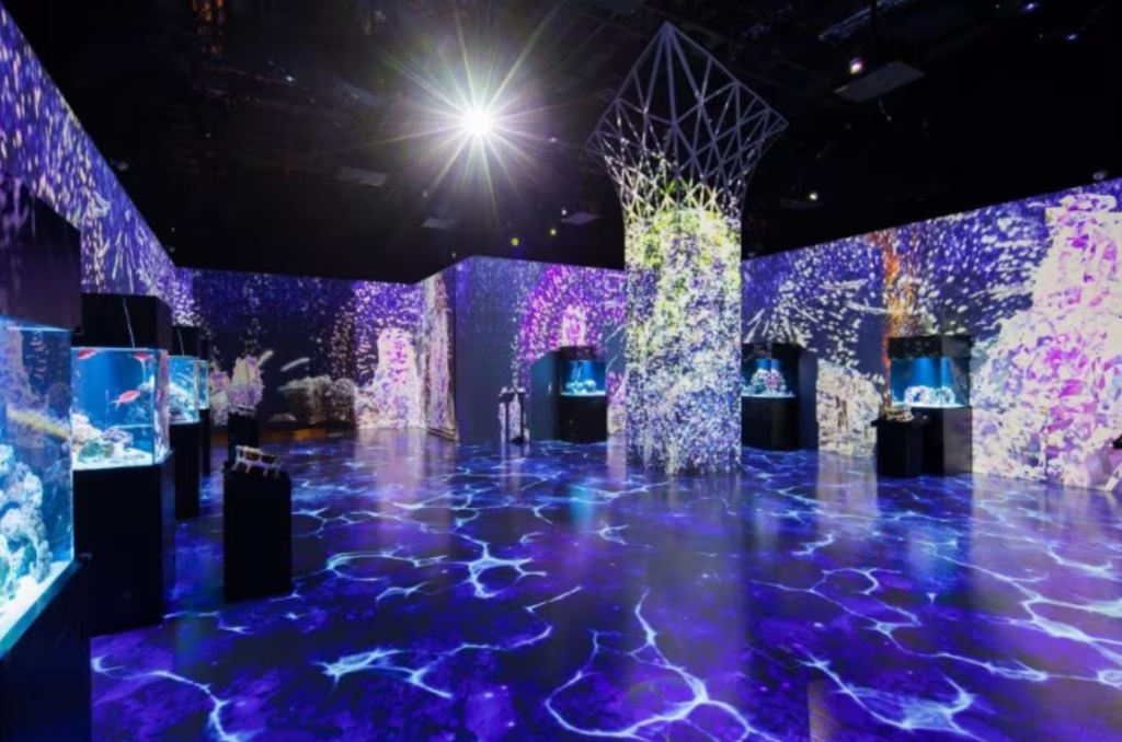 マクセル アクアパーク品川館内の写真。壁面床面ともに海をイメージしたプロジェクションマッピングはが施されている。壁には多くの水槽が並んでいる。