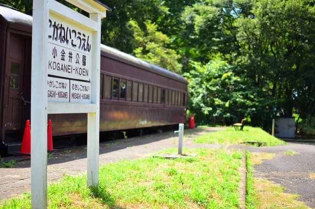 都立小金井公園