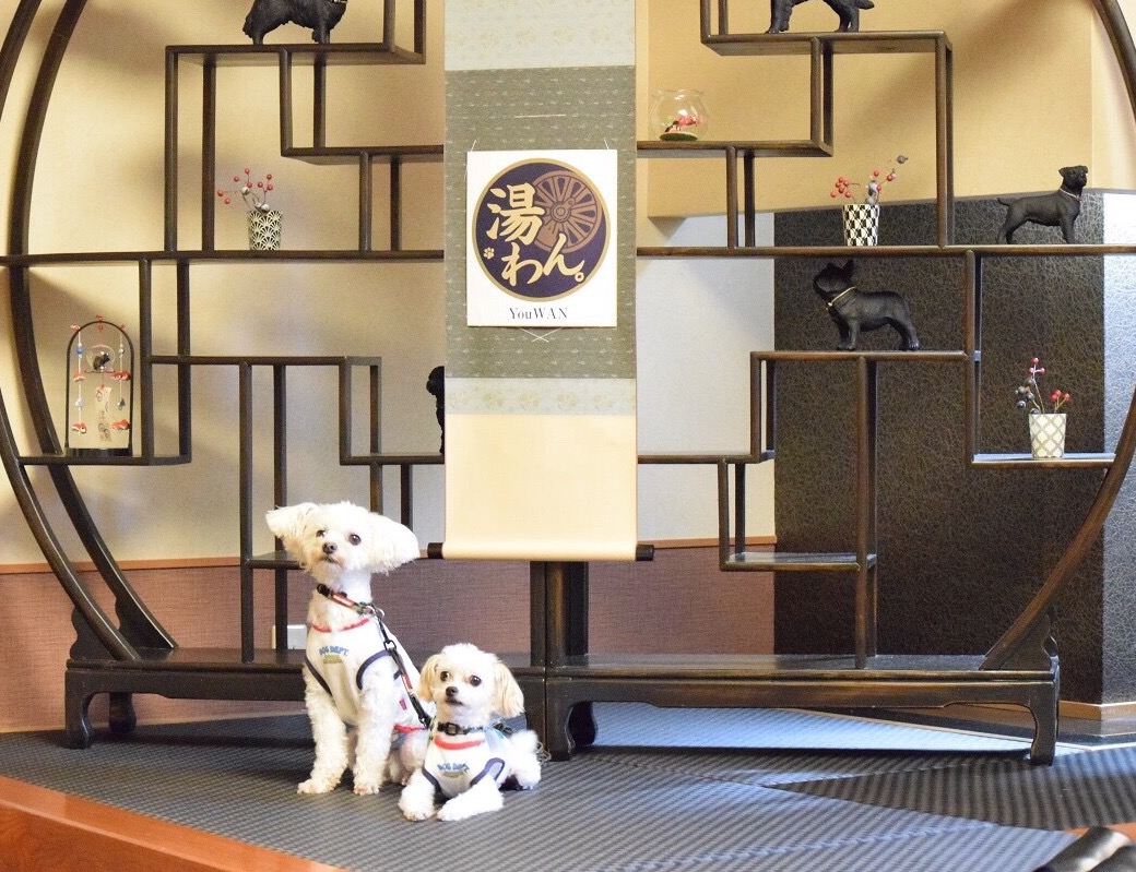 鬼怒川　湯わん。