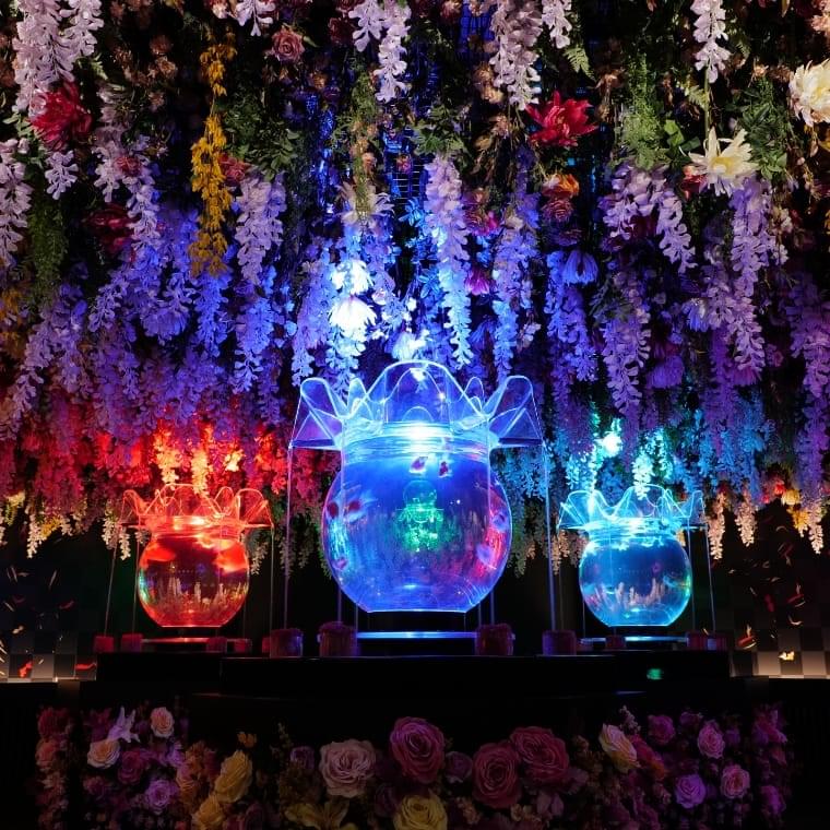 夏のアートアクアリウム2025