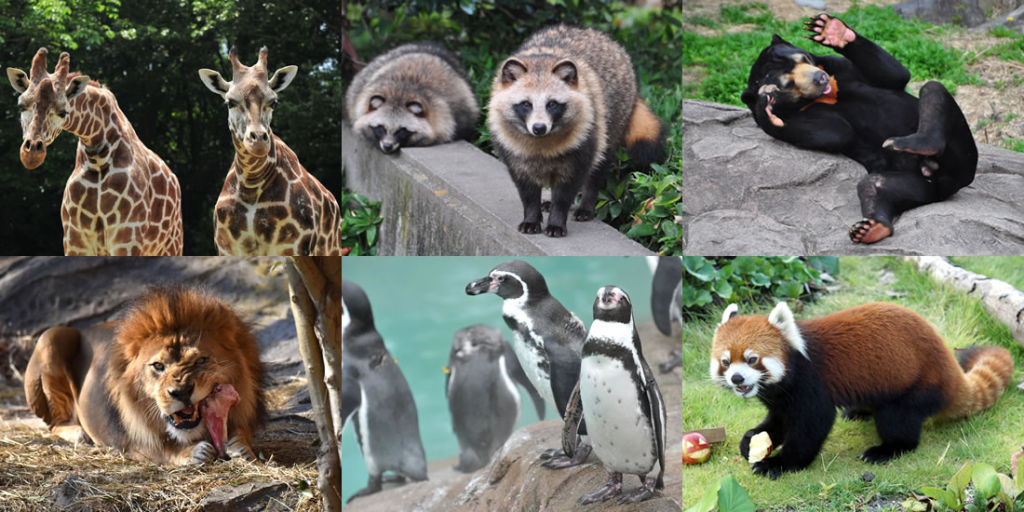 東山動物園