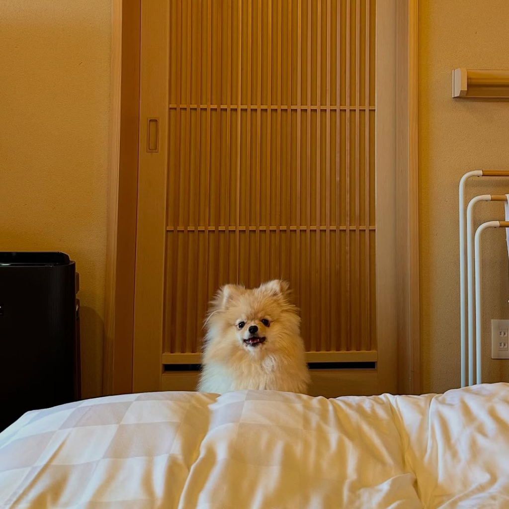 四季の館 箱根芦ノ湖