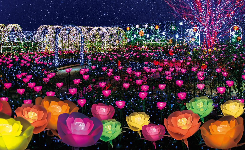 あしかがフラワーパーク｜光の花の庭
