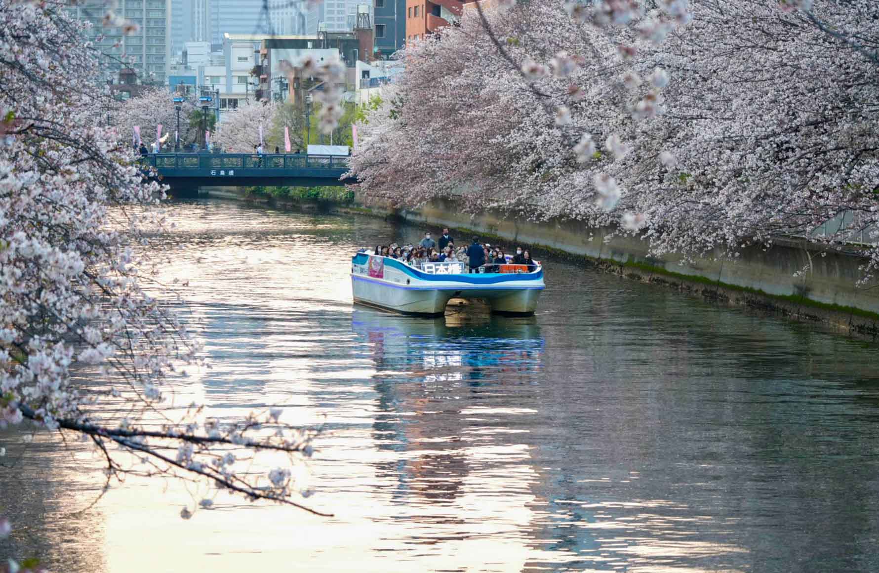 日本橋船着場・日本橋クルーズ