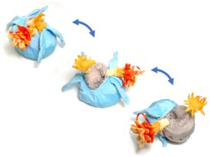 新江ノ島水族館 お土産 ぬいぐるみ