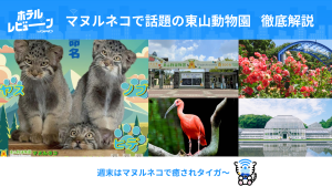 東山動植物園のチケット・駐車場・ゴリラ情報！マヌルネコの命名式や名古屋からのアクセスを徹底解説